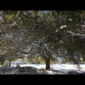 Meet your Posher, Jeremy